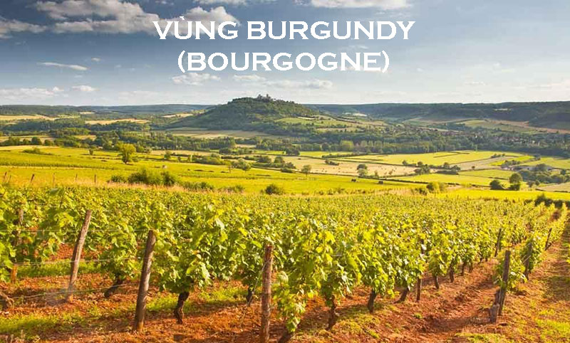VÙng Burgundy (bourgogne)