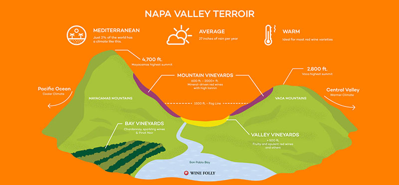 VƯỜn Nho Terroir Ở Napa Valley