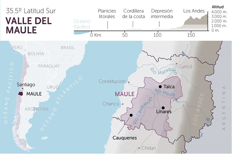 Bản đồ Vùng Maule Valley Chile