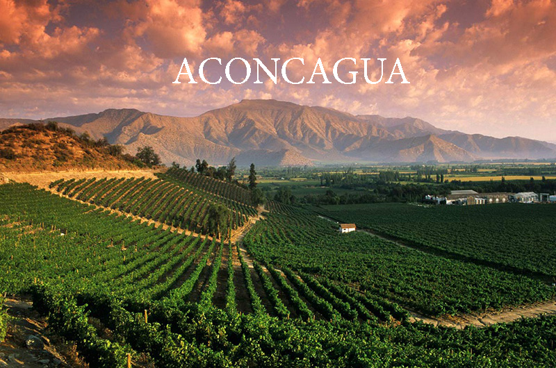 Vùng Aconcagua Chile
