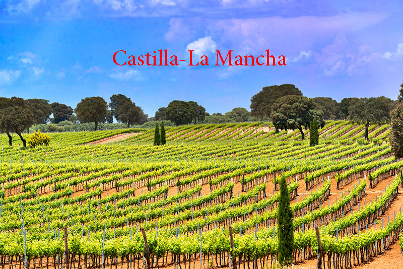 Vùng Castilla La Mancha Tây Ban Nha