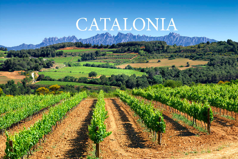 Vùng Catalonia Tây Ban Nha