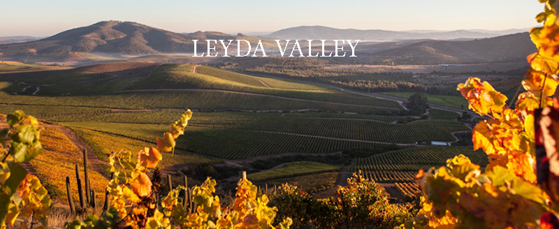 Vùng Leyda Valley Chile
