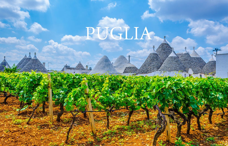 Vùng Puglia Nước Ý
