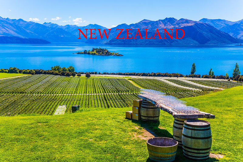 Về Vùng Rượu Vang New Zealand