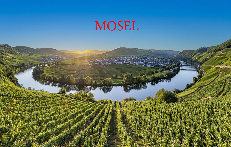 Vòng Lặp Sông Mosel Tại Leiwen, Vùng Rượu Vang Mosel, Đức