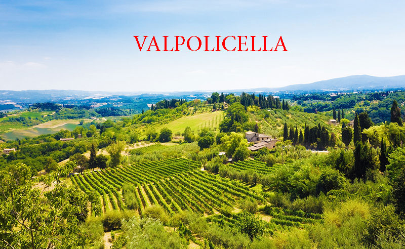Rượu Valpolicella