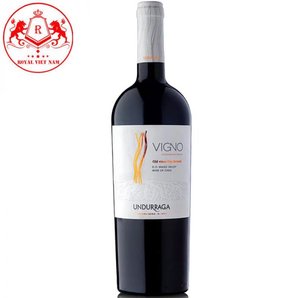 Rượu Vang Vigno Undurraga Old Vine Dry Farmed Chile