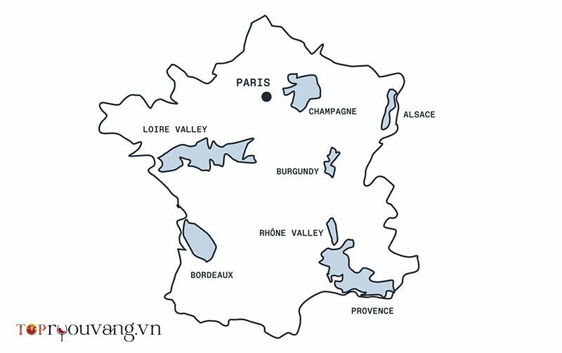 Các Giống Nho ở Các Vùng Rượu Vang Của Pháp