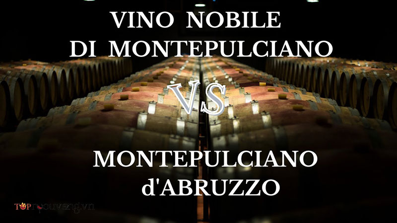 Montepulciano D'abruzzo Và Vino Nobile Di Montepulciano
