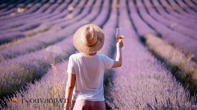Provence Xinh đẹp Nổi Tiếng Với Rượu Vang Hồng