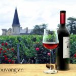Các Vùng Rượu Vang Của Pháp 2022