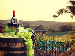 Vin De France Vin De Pays Là Gì?