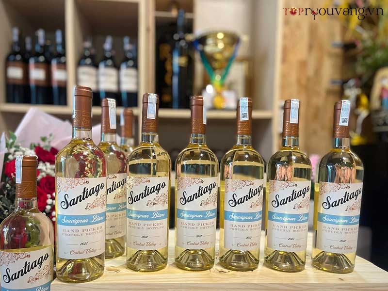 Hương Vị Của Rượu Vang Santiago Sauvignon Blanc Rất Ngon