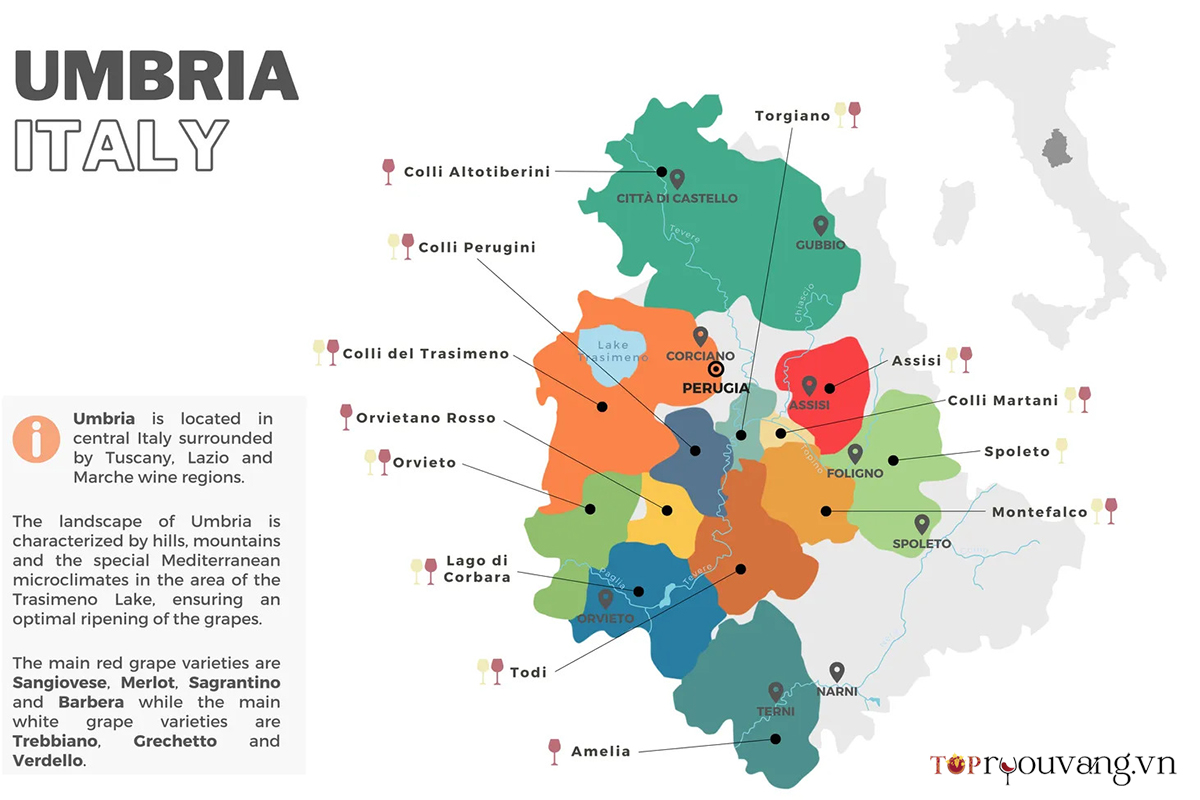 Bản đồ vùng rượu vang vùng Umbria - Italia