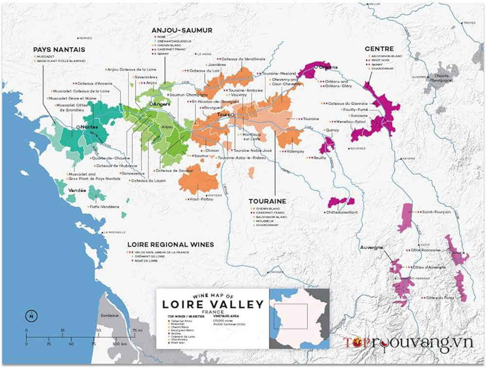 Bản đồ Vùng Rượu Vang Loire Valley Pháp
