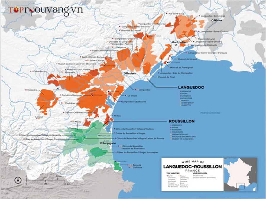 Bản đồ Vùng Rượu Vang Languedoc Roussillon