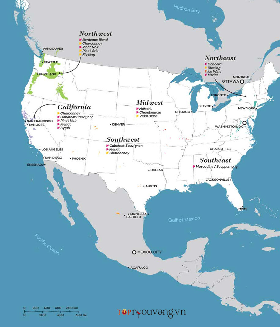 Bản đồ Vùng Rượu Vang Mỹ Usa