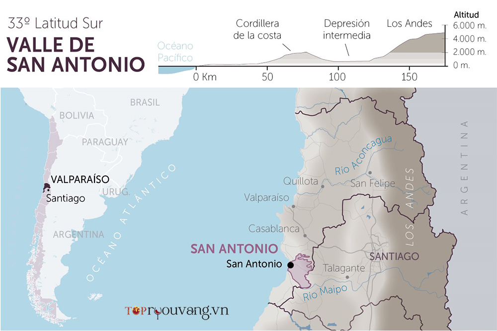 Bản đồ Rượu Vang Vùng San Antonio Valley