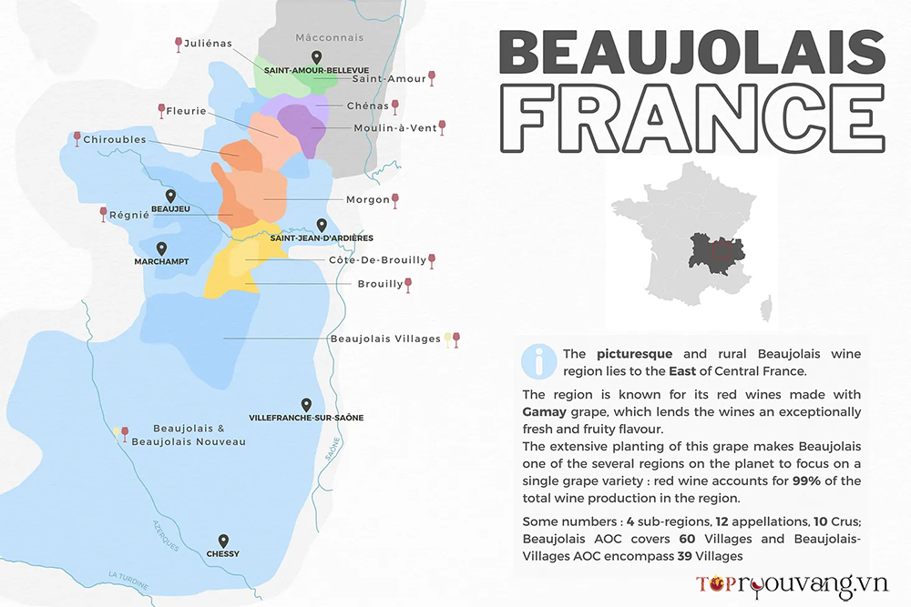 Bản đồ Vùng Rượu Vang Beaujolais