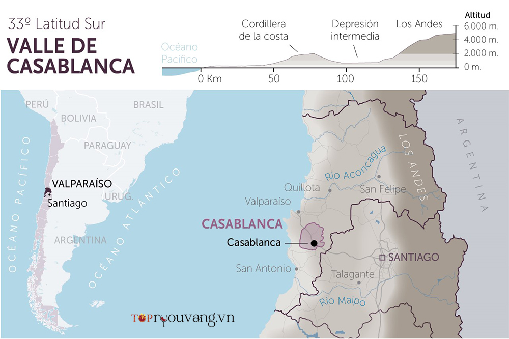 Bản đồ Vùng Rượu Vang Casablanca Valley
