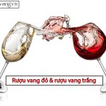 Ruou Avng Do Va Ruouvang Trang