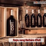 Rượu Vang Barbera D'asti