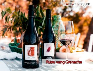 Rượu Vang Grenache