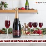 Rượu Vang đỏ Sủi Bọt