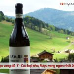 Rượu Vang đỏ Ý (các Loại Nho, Rượu Vang Ngon Nhất 2025)