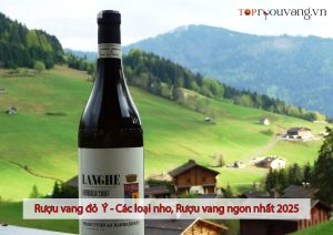 Rượu Vang đỏ Ý (các Loại Nho, Rượu Vang Ngon Nhất 2025)