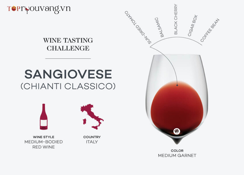 Đặc điểm Của Rượu Vang Sangiovese