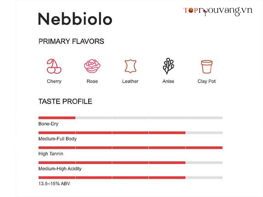 Hương Vị Và đặc điểm Của Rượu Vang Nebbiolo