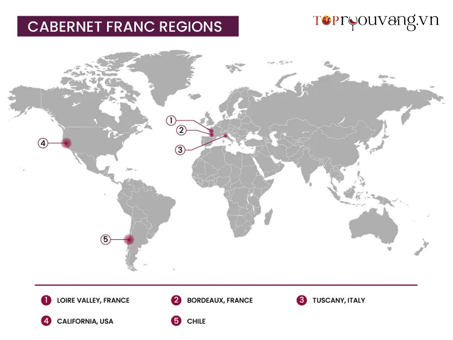 Rượu Vang Cabernet Franc được Trồng ở đâu
