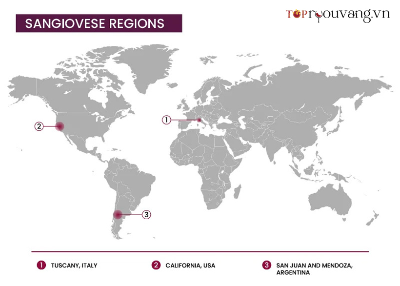 Rượu Vang Sangiovese Có Nguồn Gốc Từ đâu
