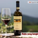 Rượu Vang Sangiovese