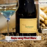 Rượu Vang Pinot Blanc