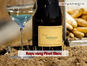 Rượu Vang Pinot Blanc
