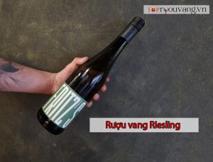Rượu Vang Riesling