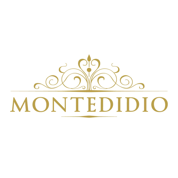 Montedidio Logo