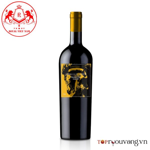 Caballo Loco Grand Cru Limari